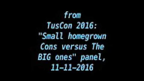 Small homegrown Cons versus The BIG ones panel - T...