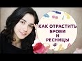 Как отрастить брови и ресницы: рецепт бальзама [Шпильки|Женский журнал]