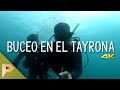 Buceo en el Tayrona | Santa Marta #2 | Próxima Parada