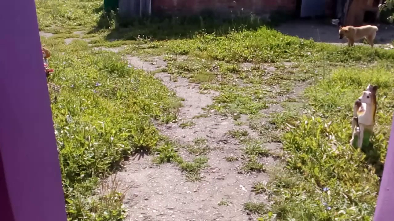 Мой брат колит дрова - YouTube