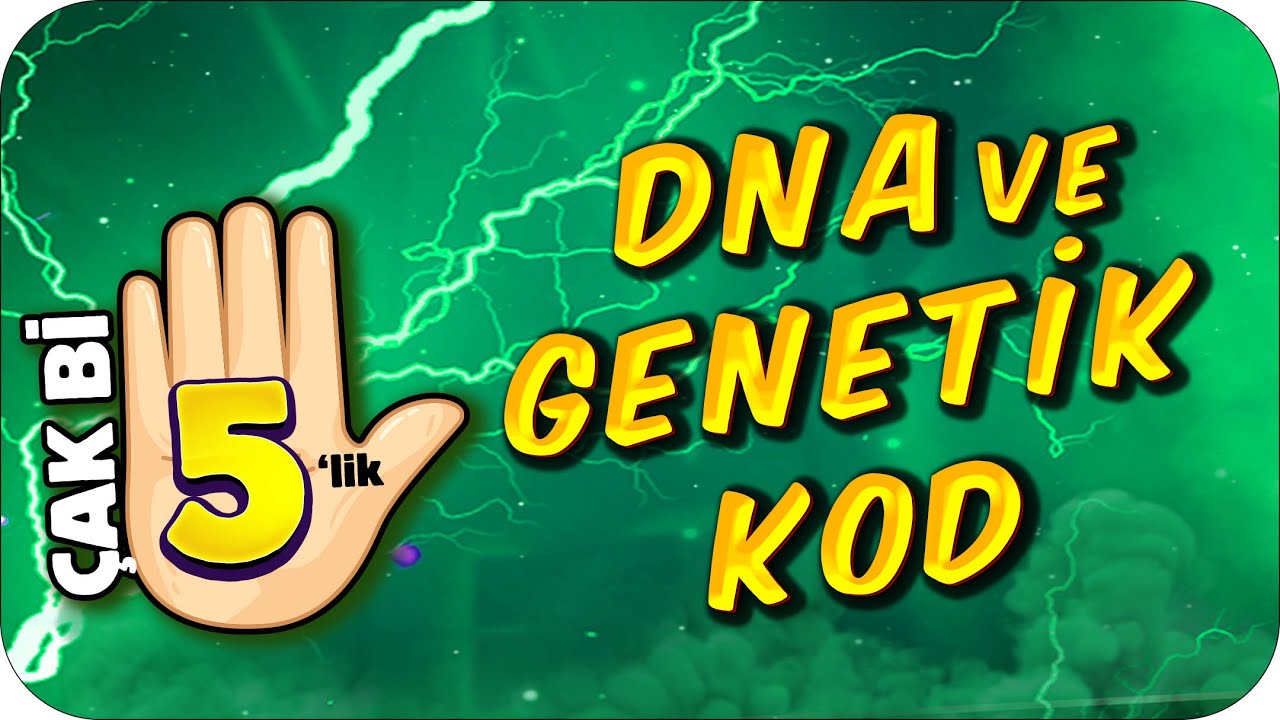 DNA ve Genetik Kod  5 Dakikada Net Artrma Garantili