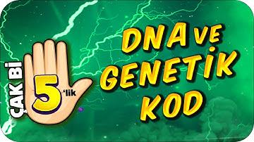 DNA ve Genetik Kod 🖐🏻 5 Dakikada Net Artırma Garantili!