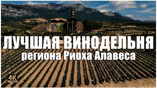 ВИНОДЕЛЬНЯ ПОД ЗЕМЛЁЙ🍷🍇