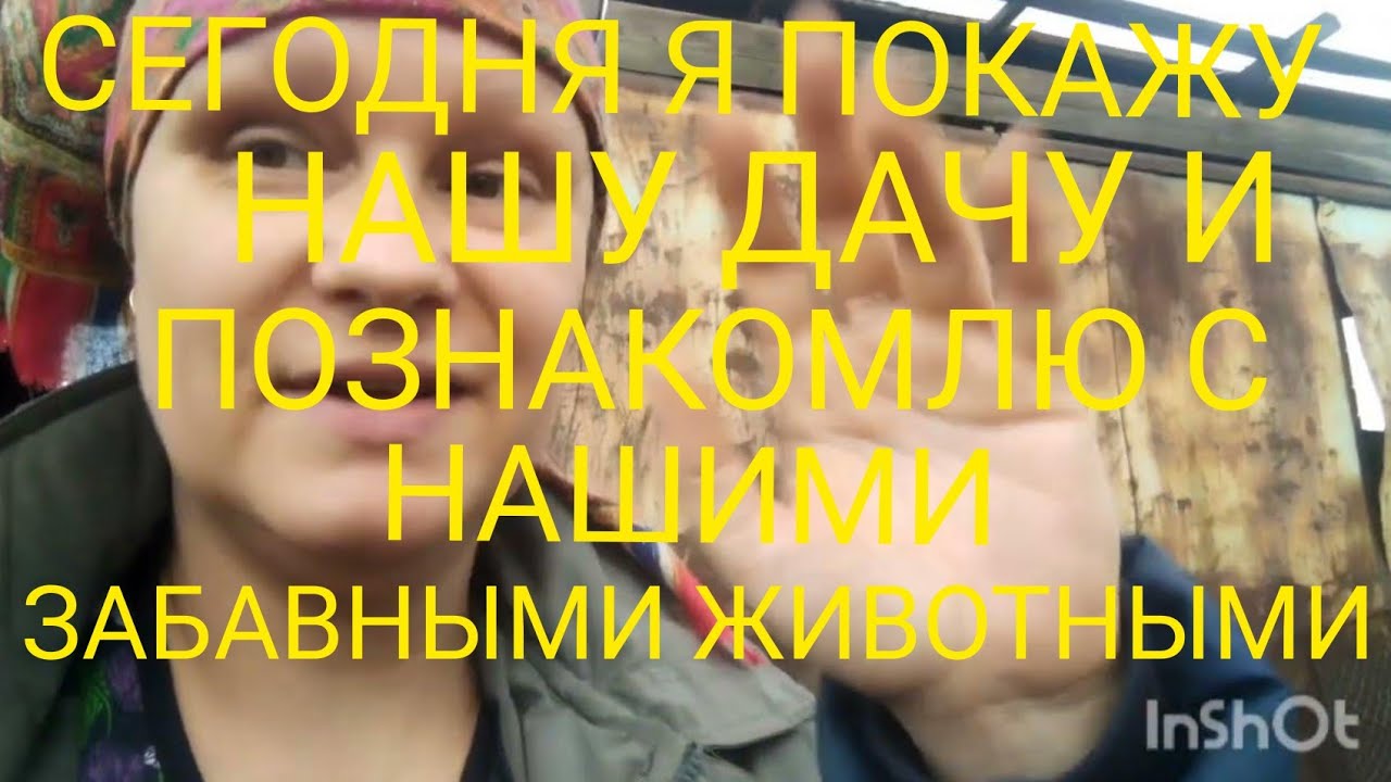 ПОКАЖУ ВАМ НАШУ ДАЧУ/НАШИ ЗАБАВНЫЕ ЖИВОТНЫЕ - YouTube