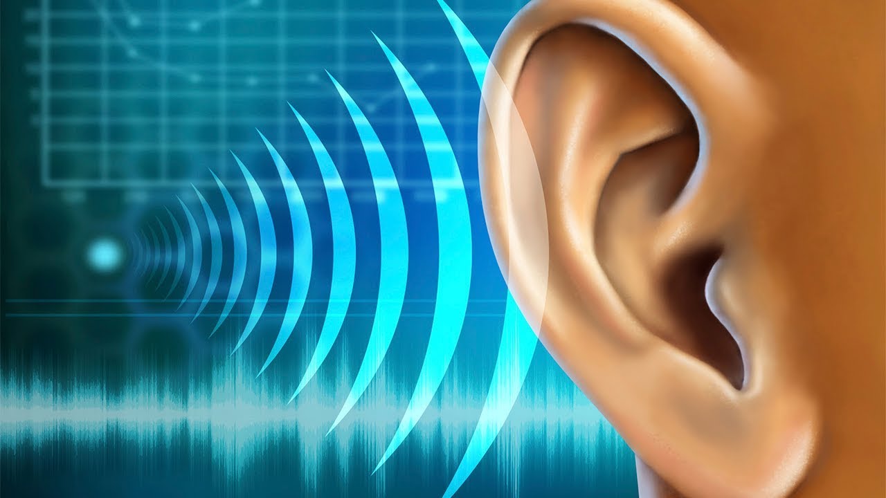 Música Para Estudiar Concentrarse Y Memorizar Rápido Ondas Alfa Música Relajante Youtube