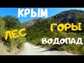 ПО ДОРОГЕ БЕЛОГОРСК - ПРИВЕТНОЕ. ПРИРОДА КРЫМА.