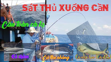 Câu cá kiếm tiền giữa trưa của anh em đi biển (HTB Vlogs)