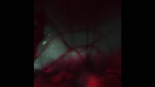 A. Wareika - Shamania Sicltd008