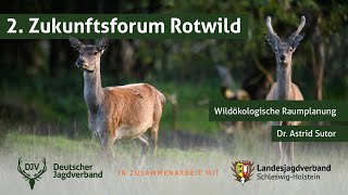 2. Zukunftsforum Rotwild | Teil 3: Wildökologische Raumplanung