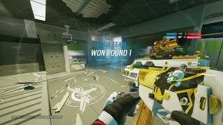 Highlights R6-Pc Vida Chique Pegasuzk