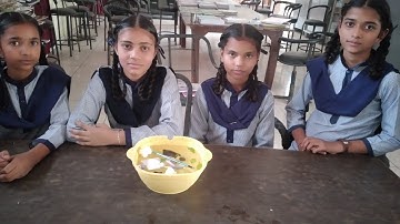 Day 15| Activity session 19 |Activity based on the concept of floating and sinking |NTT |DECE-04