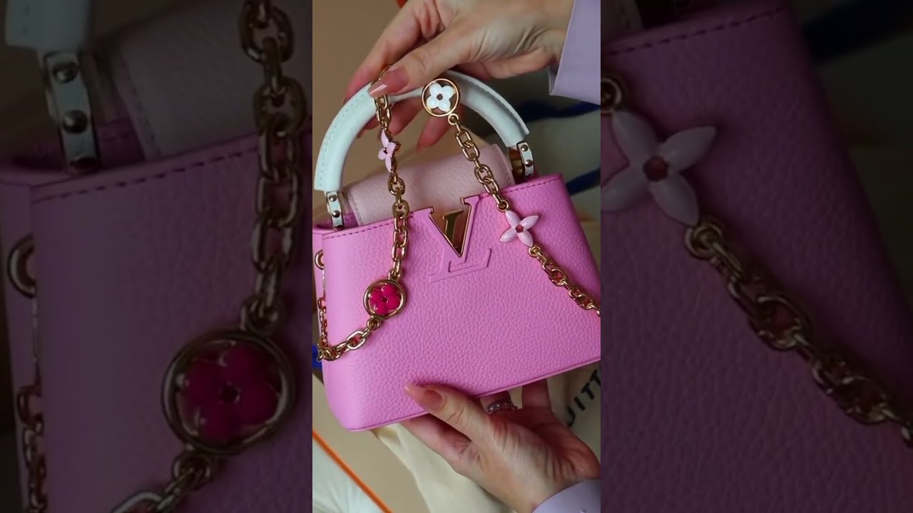 Here's Everything You Need To Know About The Louis Vuitton Capucines