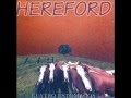 Hereford - Hombre de atras