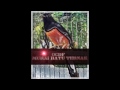 Kicau Burung Kompilasi Suara Kasar Gemiricik Air Dan Musik Terapi Untuk Murai Batu Mp3 - Mp4 Download