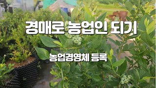 경매로 농업인 되기 : 농업경영체편
