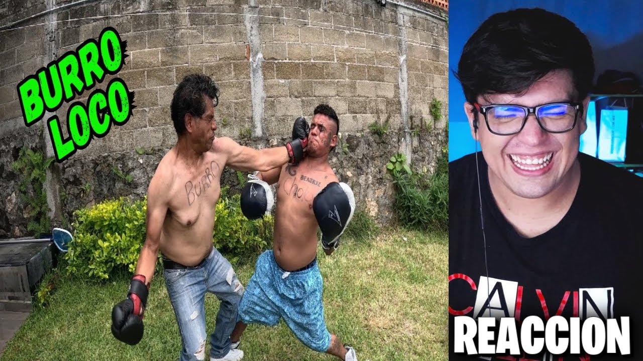 VAZINK REACCIONA AL MEJOR TORNEO DE BOX DEL REY DE LAS BROMAS