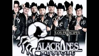 Miniatura del video "Mejor Sin Ti - Alacranes Musical 2015 (Audio Oficial) [+LinkDescarga]"