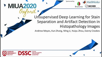 MIUA 2020: Unsupervised Deep Learning for Stain Separation and Artifact Detection in Histopathology