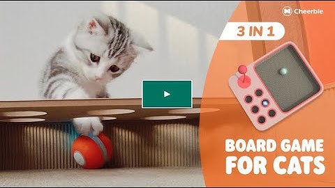 Cheerble Board Game - Keep your cat happy when you’re away