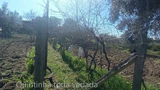 Farm in Penamacor, with 3500m2. price 39,900€
