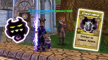 Wizard101: Beginner