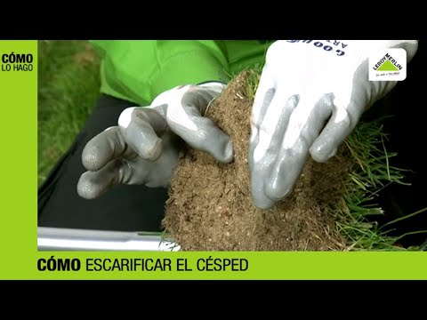 Video: ¿Qué es un escarificador de suelo?