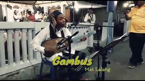 Gambus ende