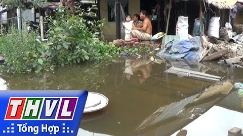 THVL | Người đưa tin 24g: Nước tràn vào nhà dân ở An Giang vì thi công sửa đường bỏ cống