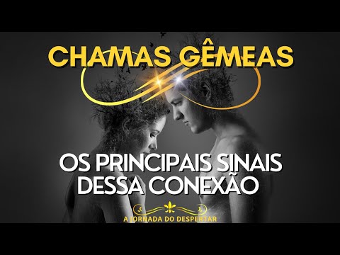 Vídeo: 21 fotos de almas gêmeas que farão você querer abraçar sua melhor amiga