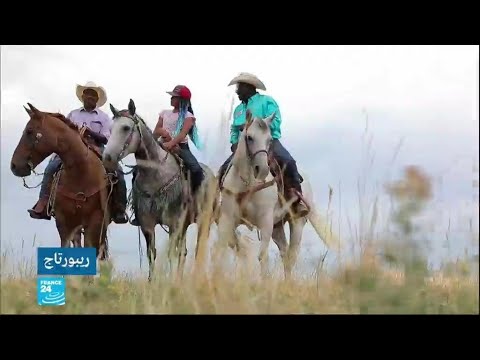 فيديو: صافي قيمة رعاة البقر العاري: ويكي ، متزوج ، أسرة ، زفاف ، راتب ، أشقاء