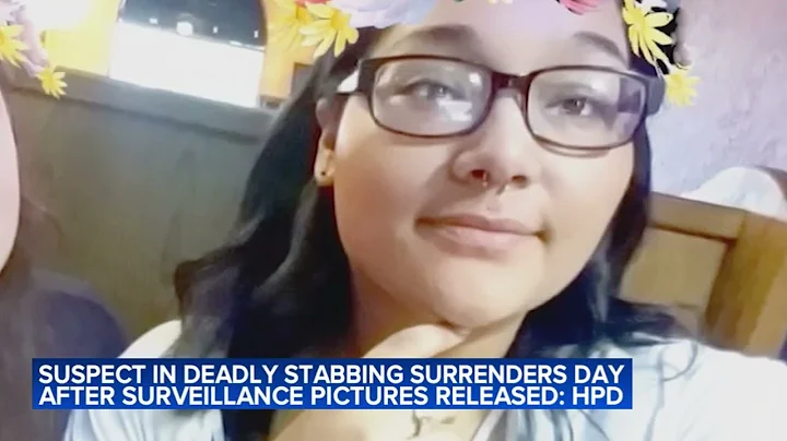 Suspect in deadly stabbing surrenders after police release surveillance photos, HPD says