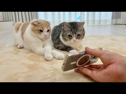 Mochimaru - YouTube