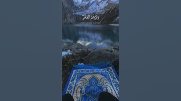 الصلاة في أوقاتها… وصية ربانية – تلاوة نادرة وخاشعة بصوت الشيخ #شعبان_الصياد