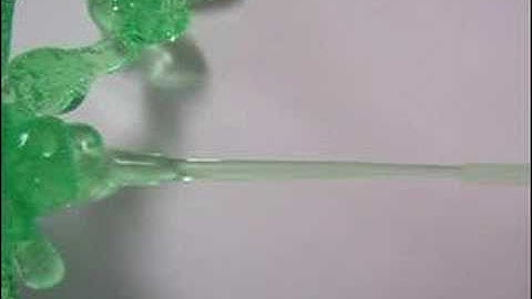 Visco-Elastic Fluid in Microgravity