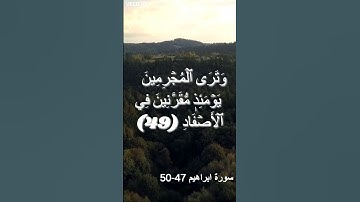 القارئ هزاع البلوشي | تلاوة خاشعة
