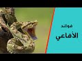 فوائد سم الأفاعي الصحية ما لا تعرفه عن الافاعي 