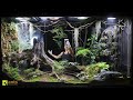 I Released an Apex Predator into My Giant Rainforest Vivarium | S1 Ep. 7