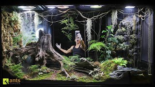 I Released An Apex Predator Into My Giant Rainforest Vivarium