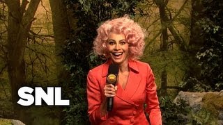 Hunger Games Reporter  Saturday Night Live