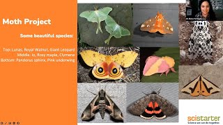 SciStarter LIVE #46: National Moth Week