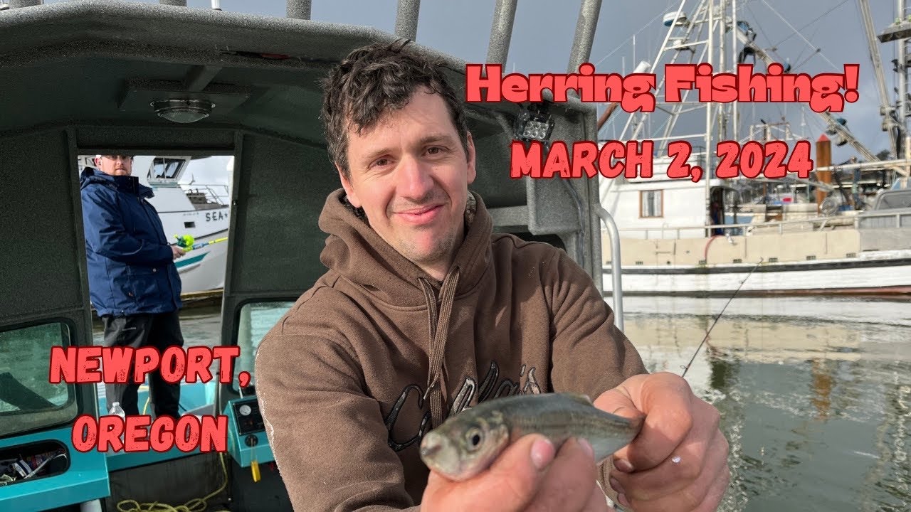Herring Fishing In A Hailstorm And Finding A New Friend. herring 