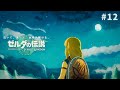 【実況】広がる世界の、ティアーズオブザキングダム # 12【ゼルダの伝説】