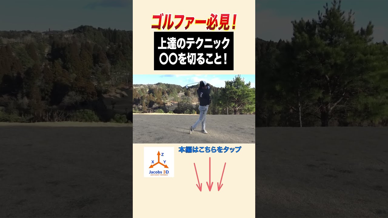 ゴルフの竪琴➕スイングタイプ上達法 超私的な考察 ゴルフの竪琴で練習すると、なぜスイングが劇的に