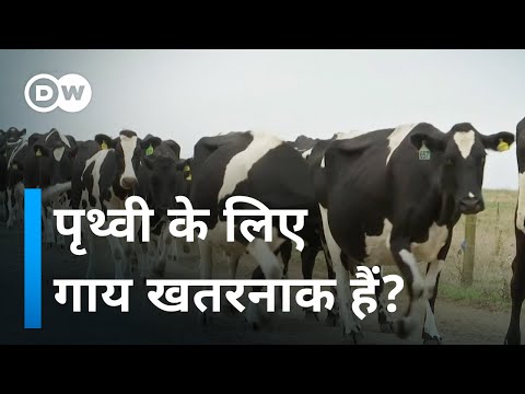 वीडियो: अंतर्मुखी। अकारण सवालों के घेरे में