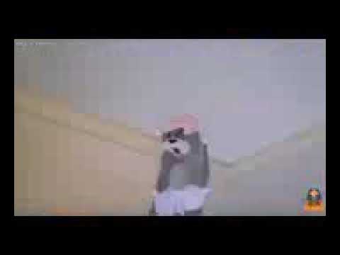 اغنية القلب يا ناس استكى محتاج هشتكى