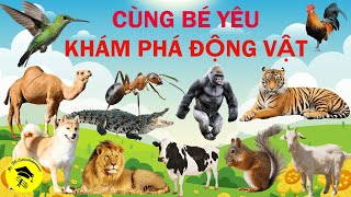 100+ LOÀI ĐỘNG VẬT CHO BÉ TẬP NÓI 🐓🐕🐁🐍🐪🦀🐢🐘🐟 | Song ngữ Việt - Anh 🔴 100+ Animals