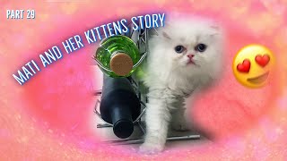 Mati and her kittens. Story 29^:^ by Zen Tavra 51,096 views 3 years ago 2 minutes, 48 seconds