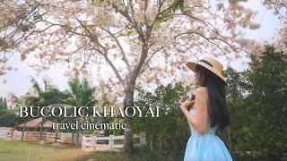 Bucolic Khaoyai Cafe | Travel Cinematic [Sony A7III, DJI Mavic Air 2]