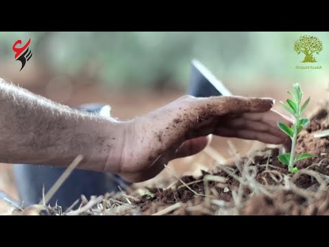 أين ما غرست فحصادك لليمن محدث | وقف أويس القرني أين ما غرست فحصادك لليمن محدث | وقف أويس القرني