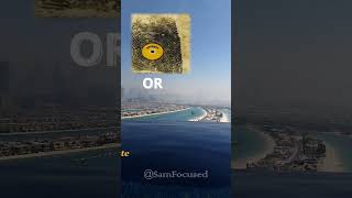 Playboi Carti Philly Sample 🎶